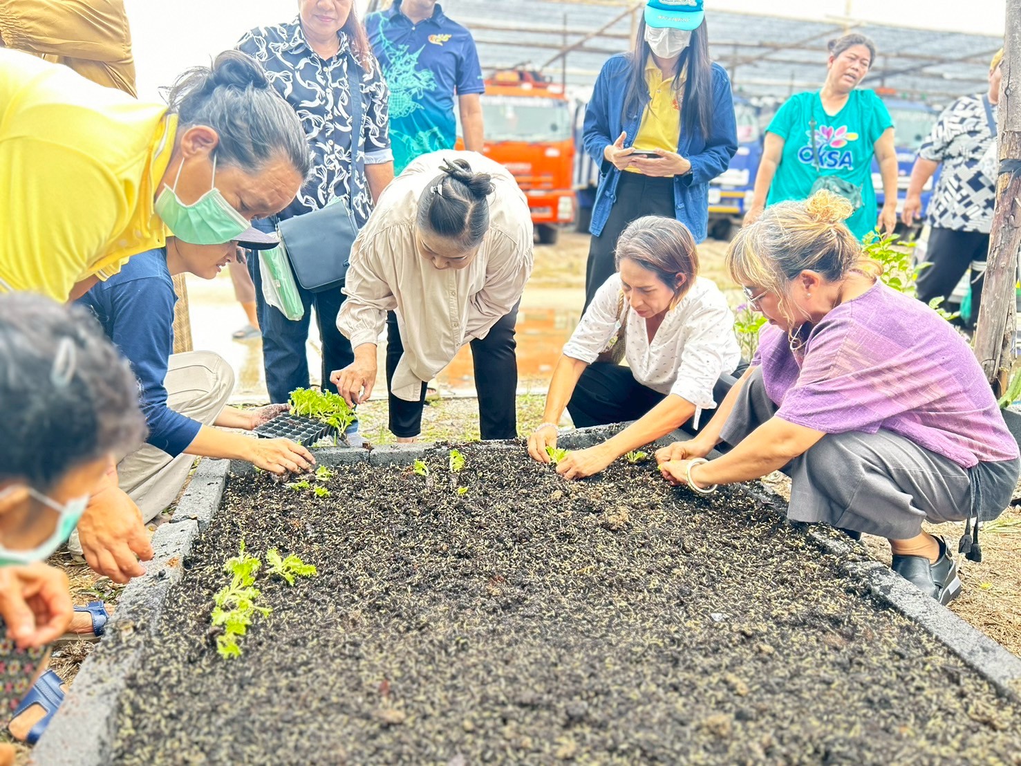 สพอ.พระสมุทรเจดีย์ ดำเนินโครงการฝึกอาชีพปลูกผักเพื่อสร้างความมั่นคงทางด้านอาหาร ภายใต้โครงการ พัฒนาศักยภาพ องค์กร และเครื่อข่ายขับเคลื่อนการพัฒนาตำบลเข้มแข็งตามหลักปรัชญาของเศรษฐกิจพอเพียง กิจกรรมสนับสนุนการขับเคลื่อนกิจกรรมตามแผนพัฒนาตำบล